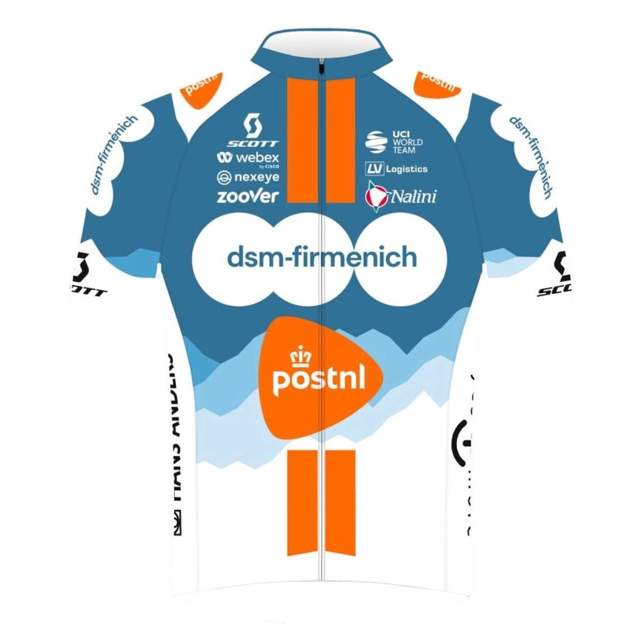 DSM Firmenich