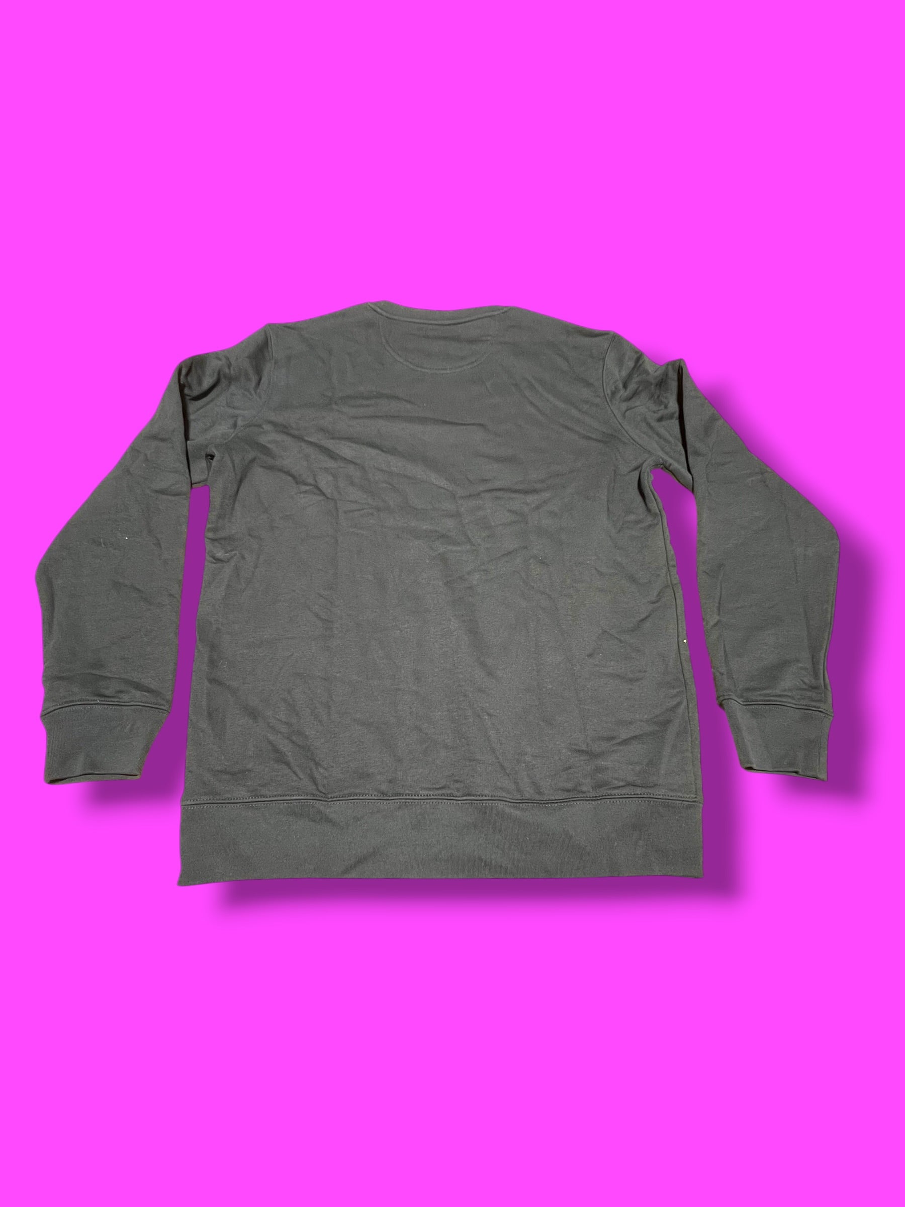 Team Issue Sweatshirt | Hagens Berman Jayco | Alé Men's Pro Kit