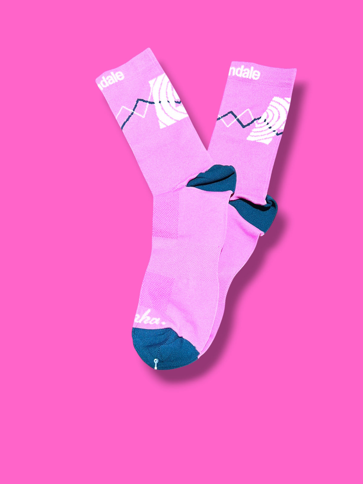 EF 2022 Team Race Socks | EF Education First | Rapha Men's Pro Kit
