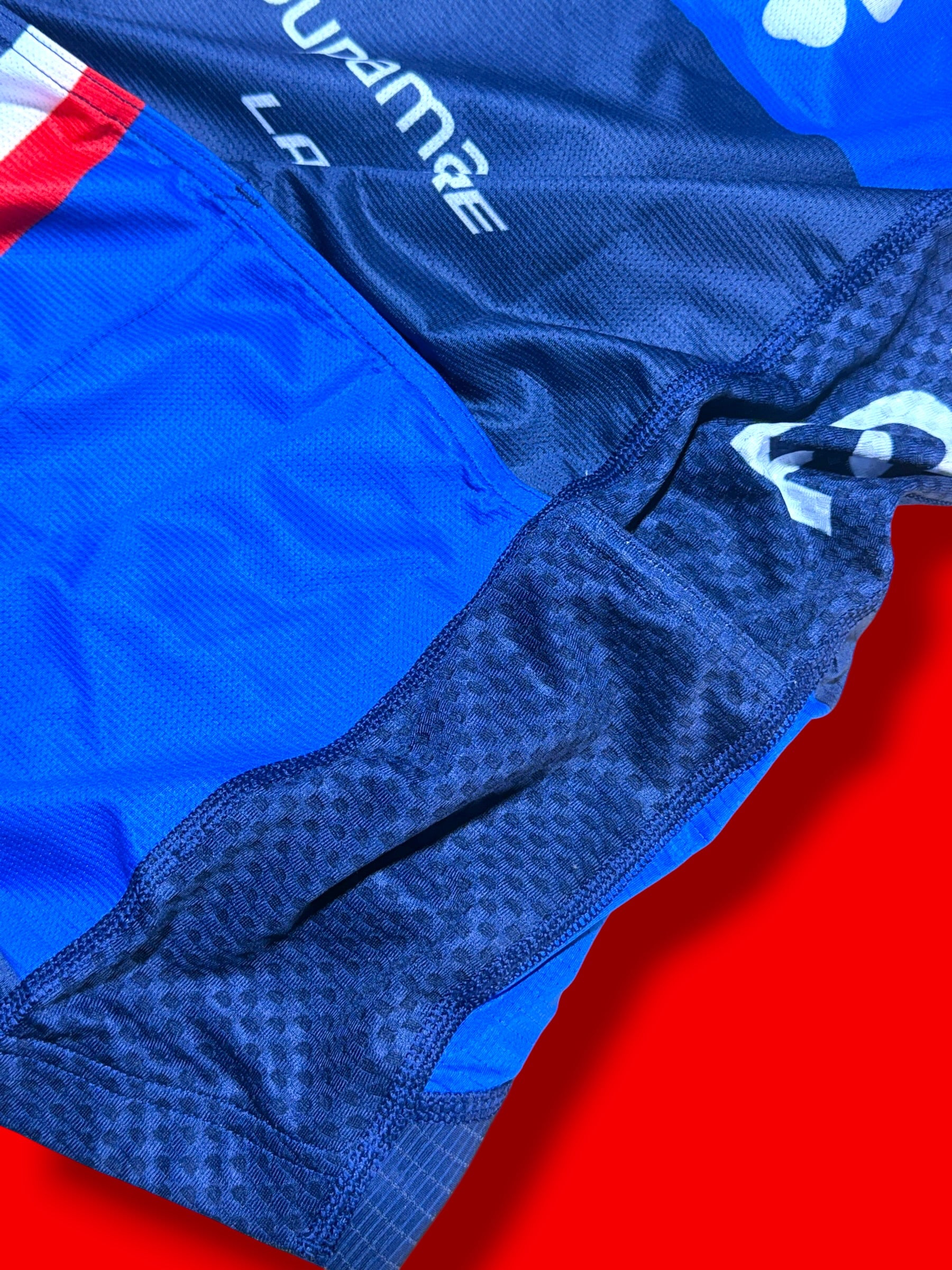 Aero Jersey Demare|FDJ Francaise Des Jeux|Ale Pro Cycling Kit