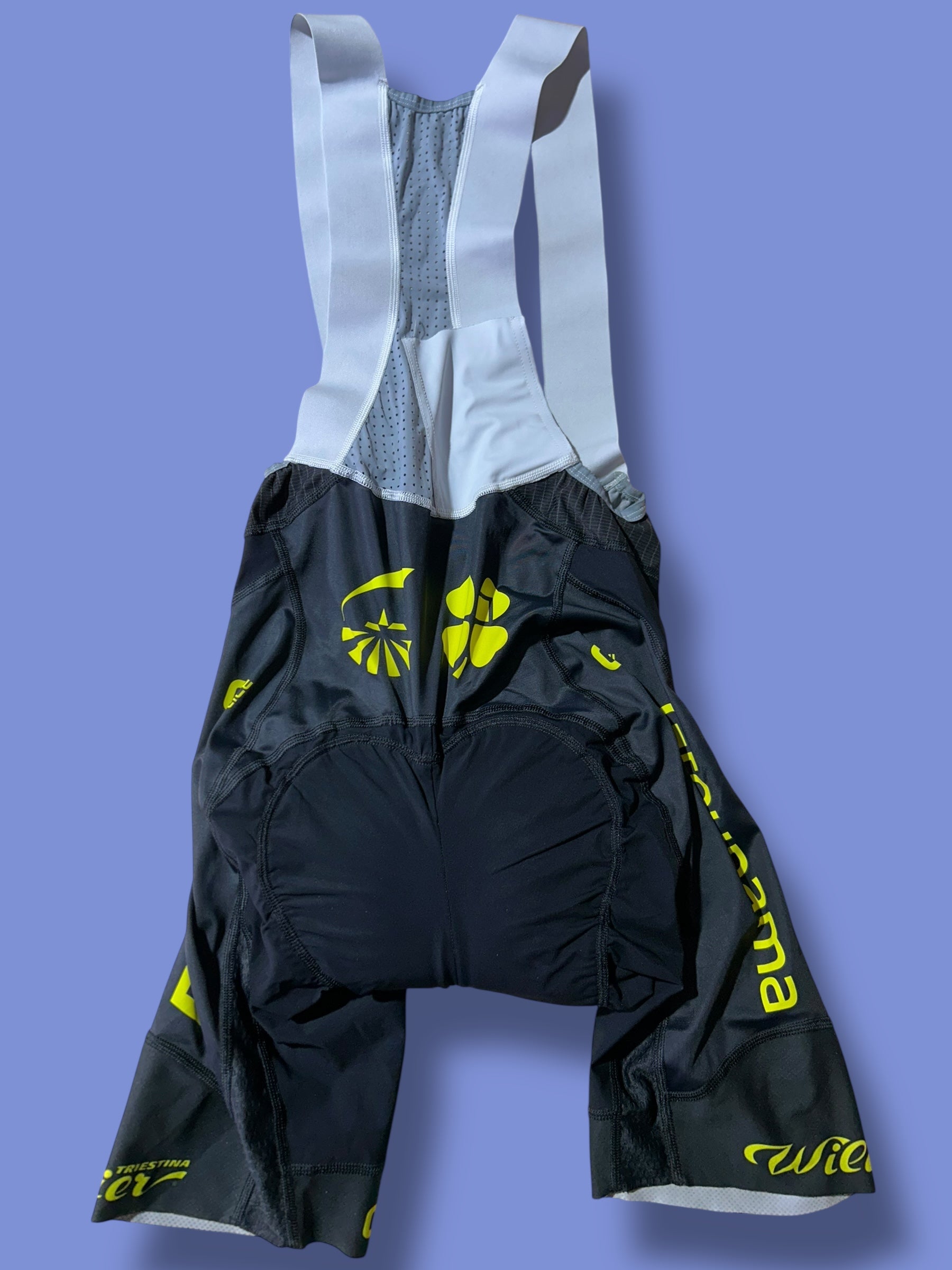 Aero Jersey Bib Shorts Bundle | Ale |FDJ| Pro Cycling Kit