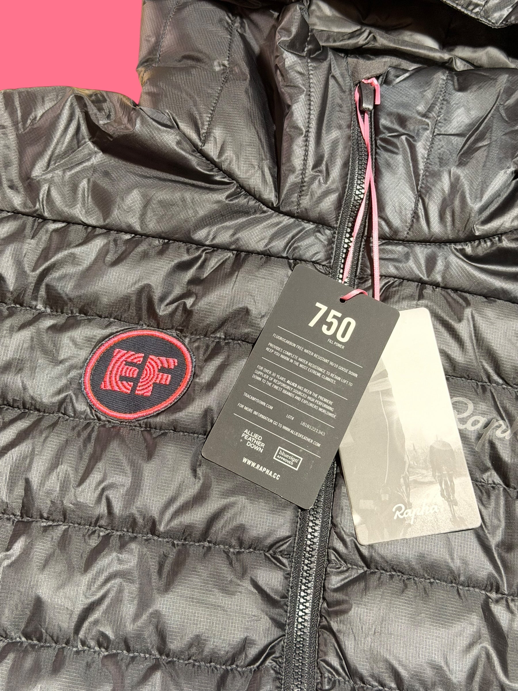 Team Issued Down Winter Explore Jacket|Rapha |EF Education First|Cycling