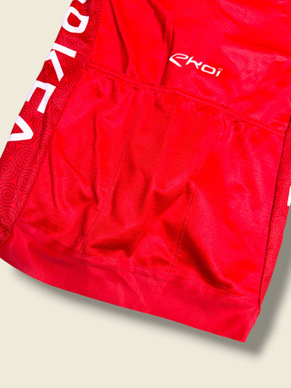 Long Sleeve Jersey |Arkea |Rosti  Pro Cycling Kit