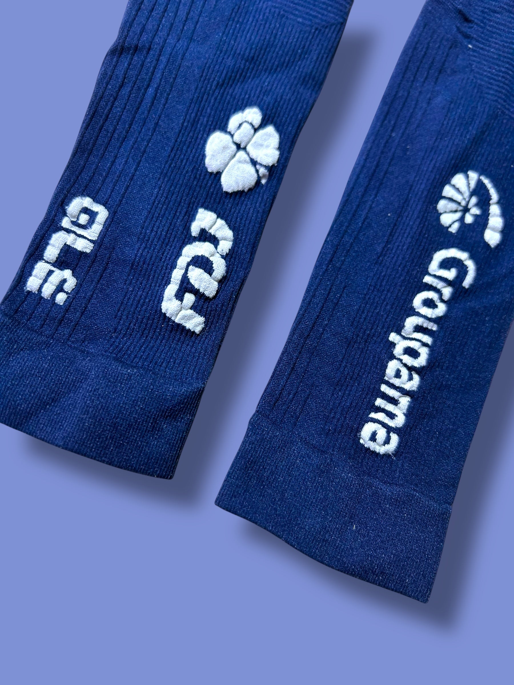 Arm Warmers Stretchy| Ale |FDJ| Pro Cycling Kit