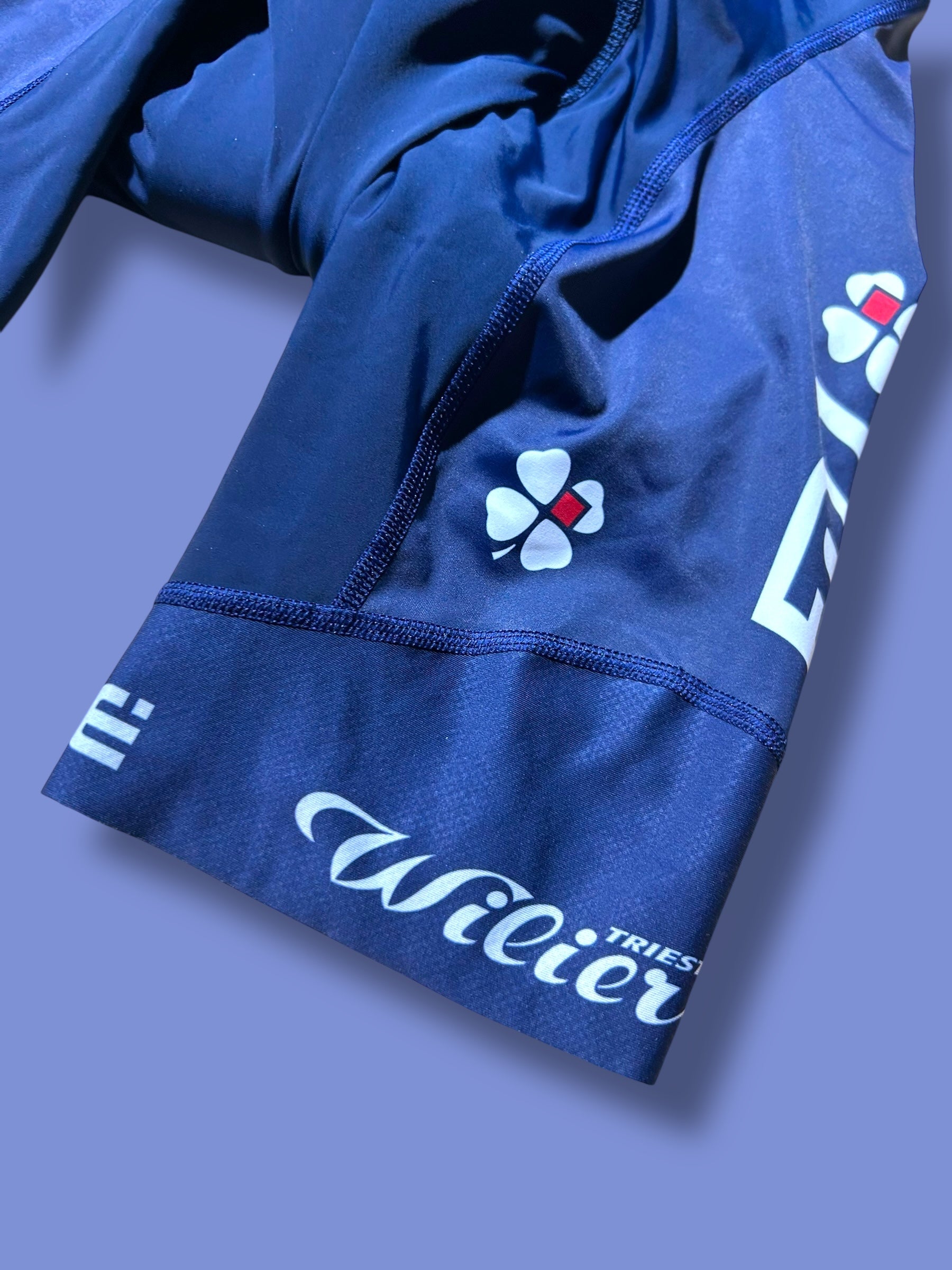 Bib Shorts | Ale |FDJ| Pro Cycling Kit