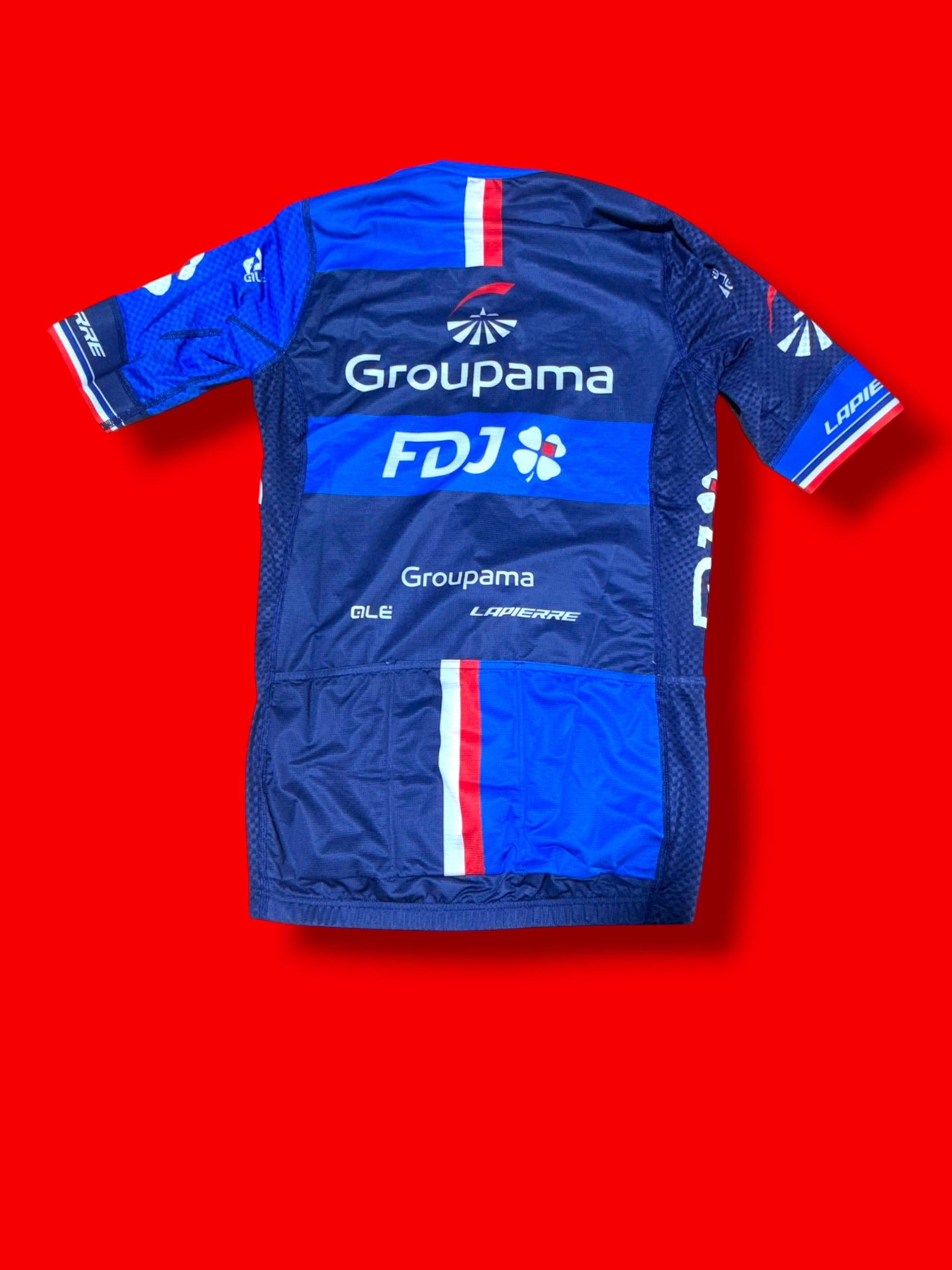 Aero Jersey Demare|FDJ Francaise Des Jeux|Ale  Pro Cycling Kit