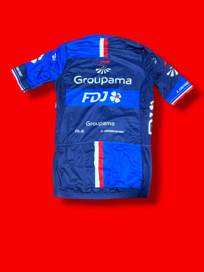 Aero Jersey Demare|FDJ Francaise Des Jeux|Ale  Pro Cycling Kit