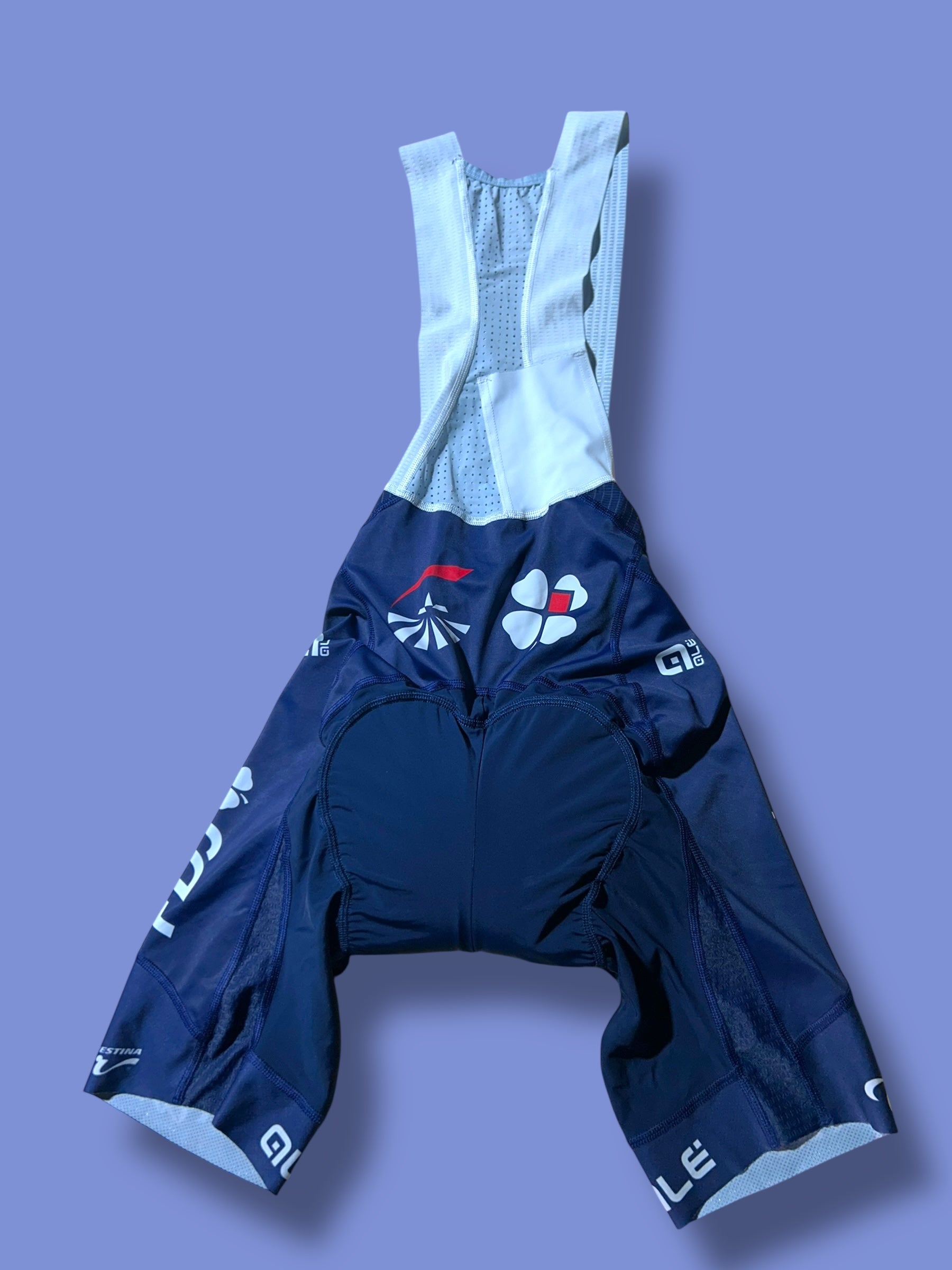 Aero Jersey Bib Shorts Bundle | Ale |FDJ| Pro Cycling Kit